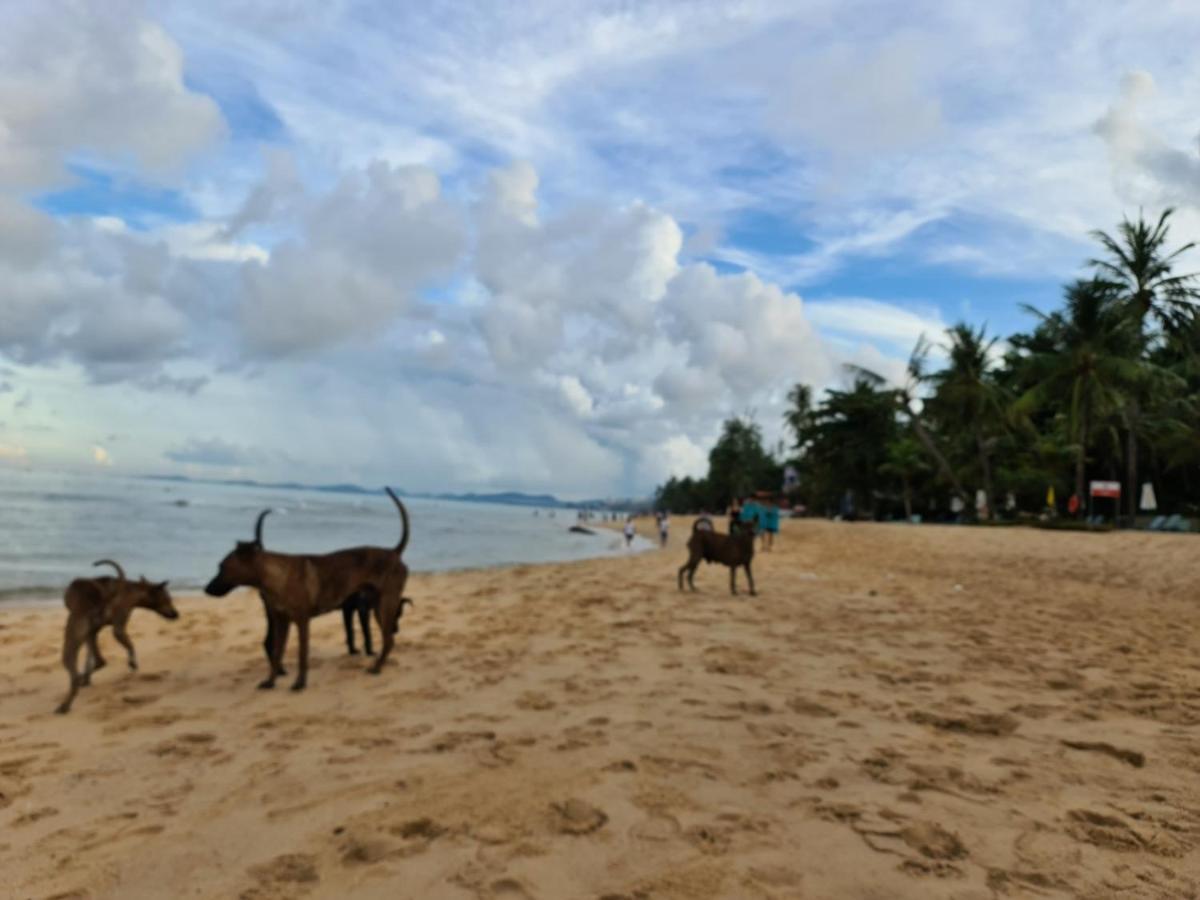 Kim Lien Phu Quoc Guesthouse Bagian luar foto
